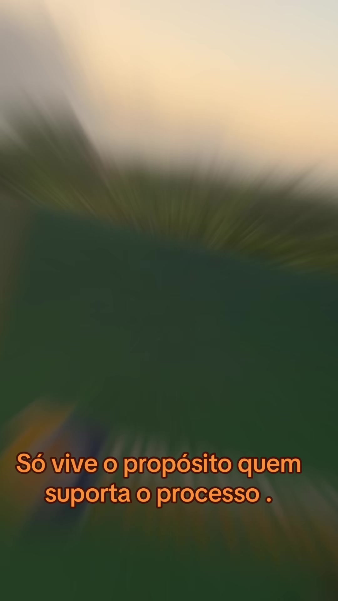 @Cecilia Comita