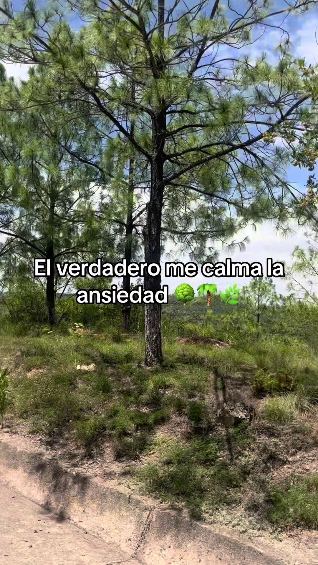 @Vian López
