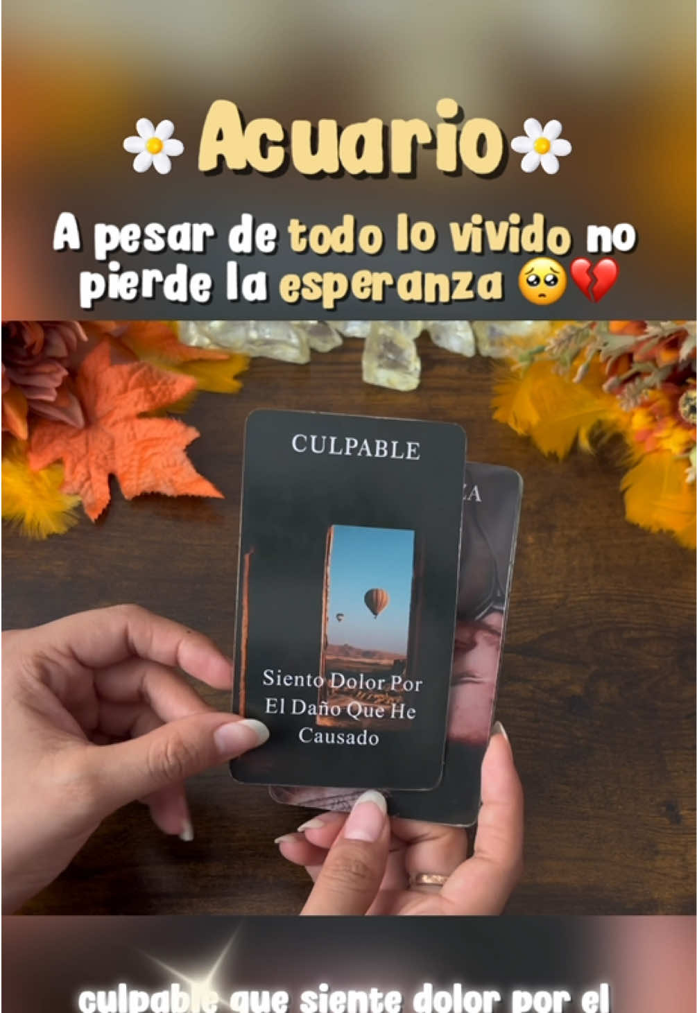 @Andy Sun Tarot ☀️