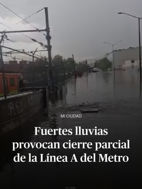 @DiariodeM&eacute;xico