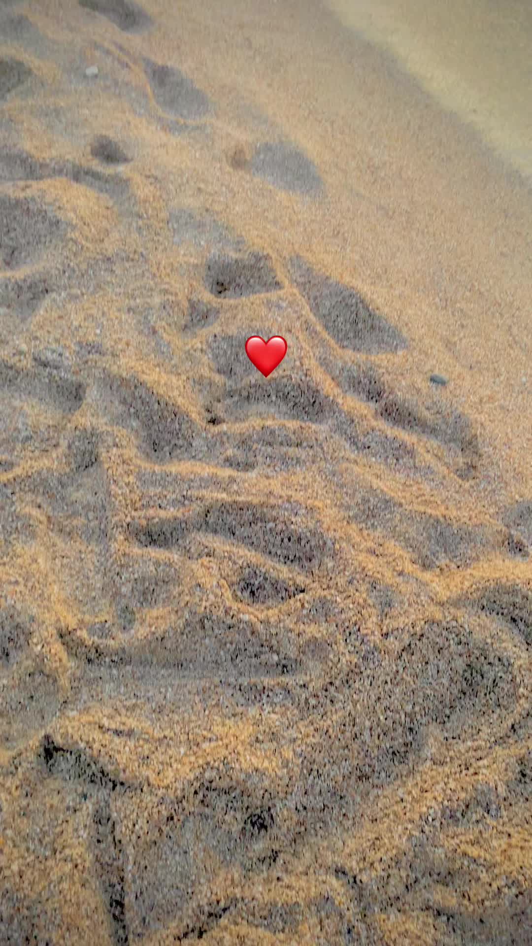 @❤️luuux_kinwa🎶