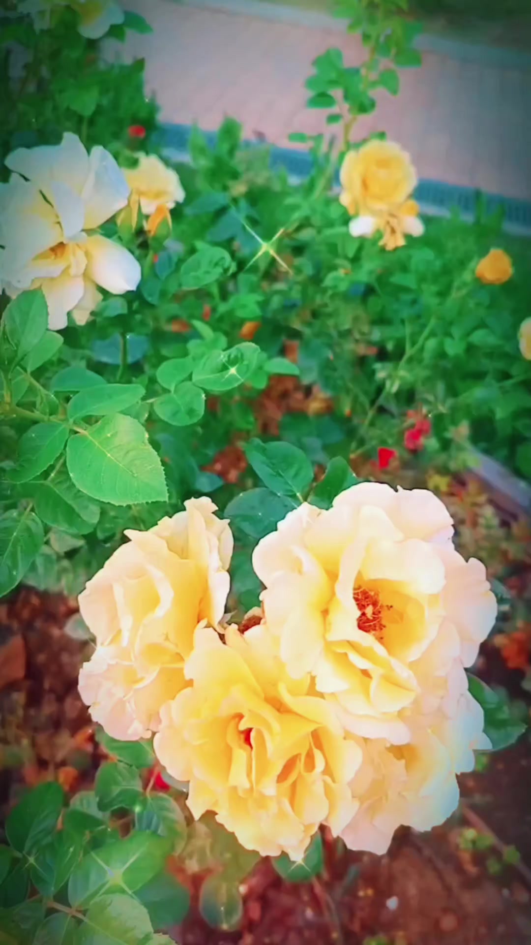 @Марина 🌹🍃