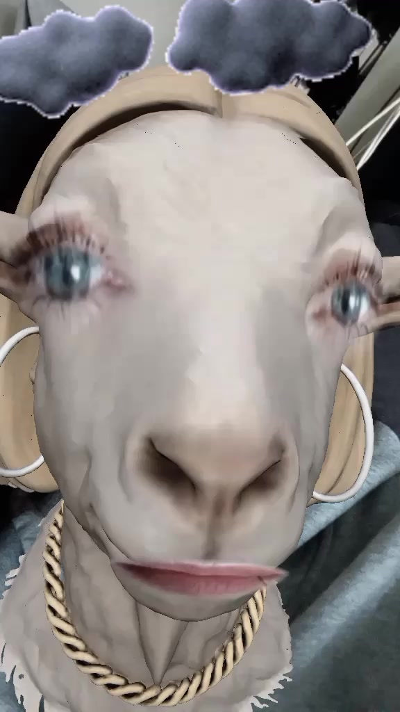 @Rachel YYC