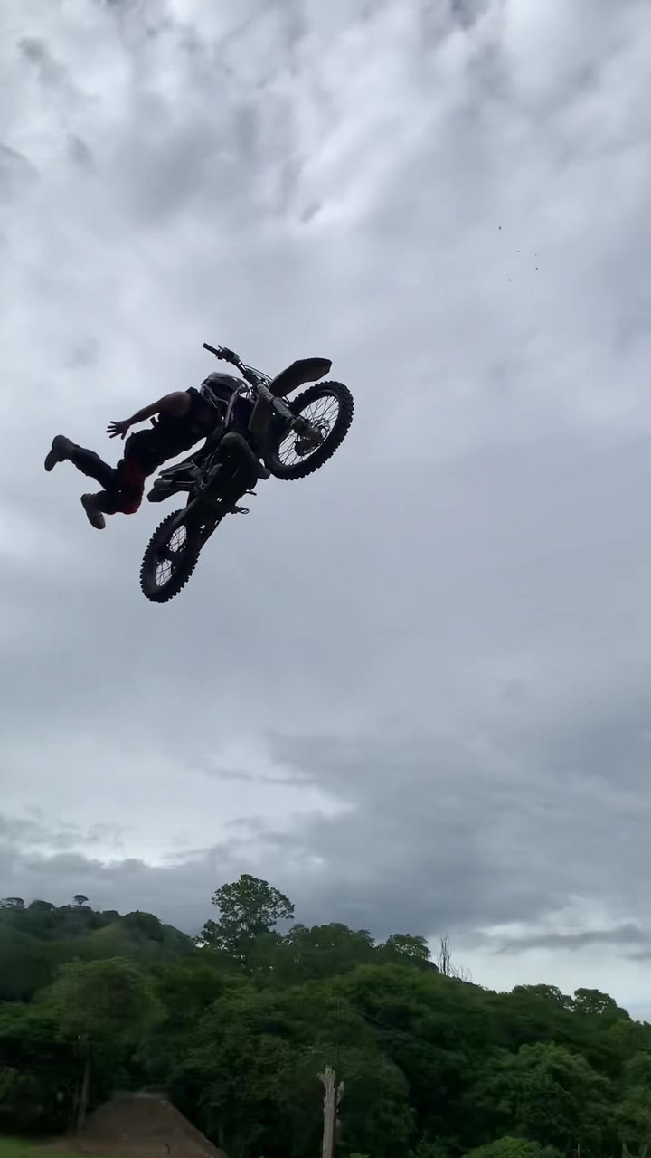 @gatofmx