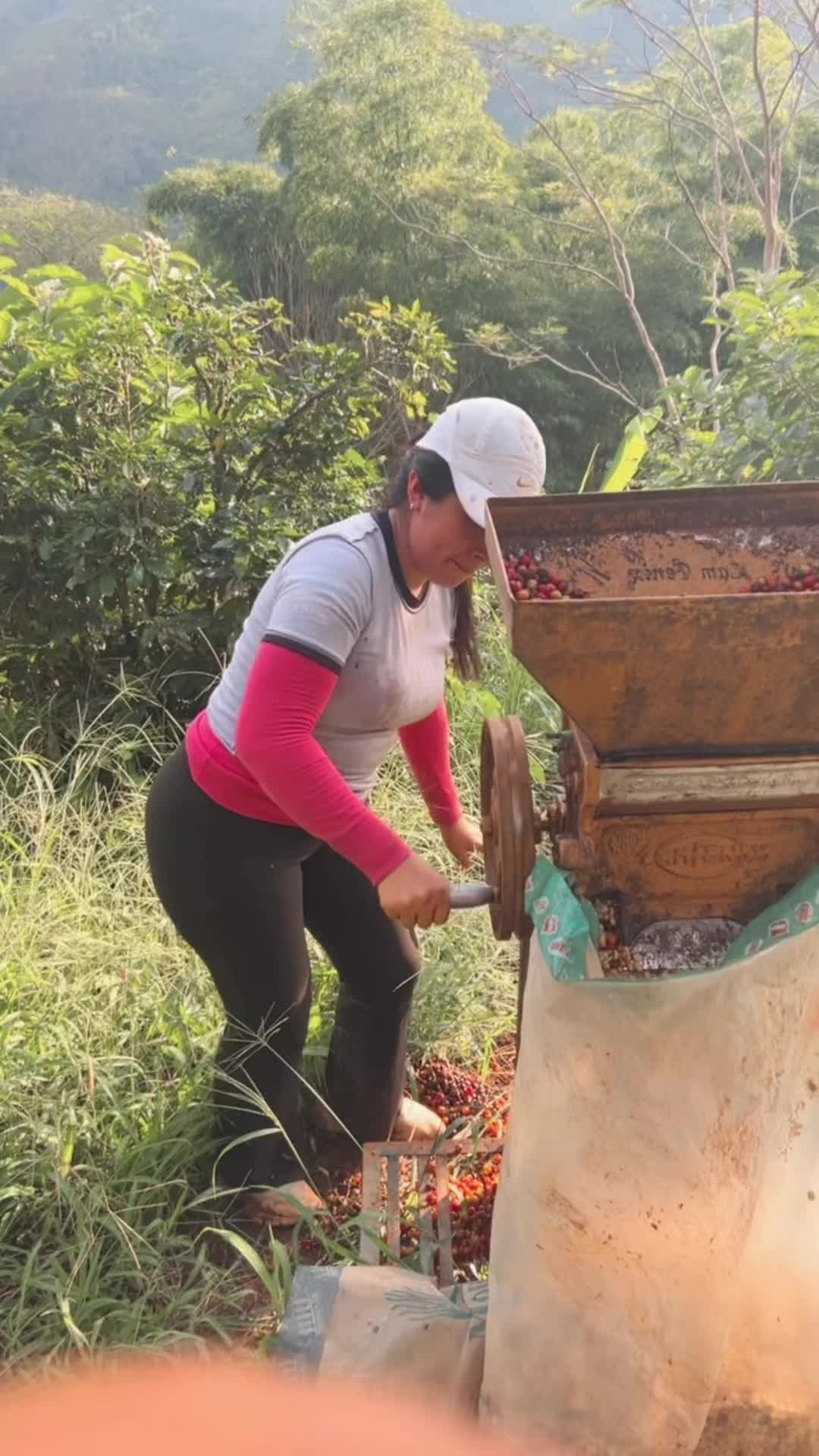 @Cielo.Castillo1
