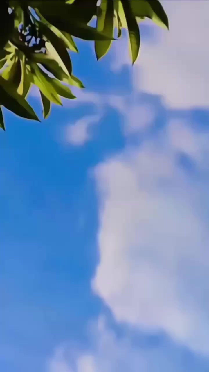 @Z ka shazada 🥰🫀👀