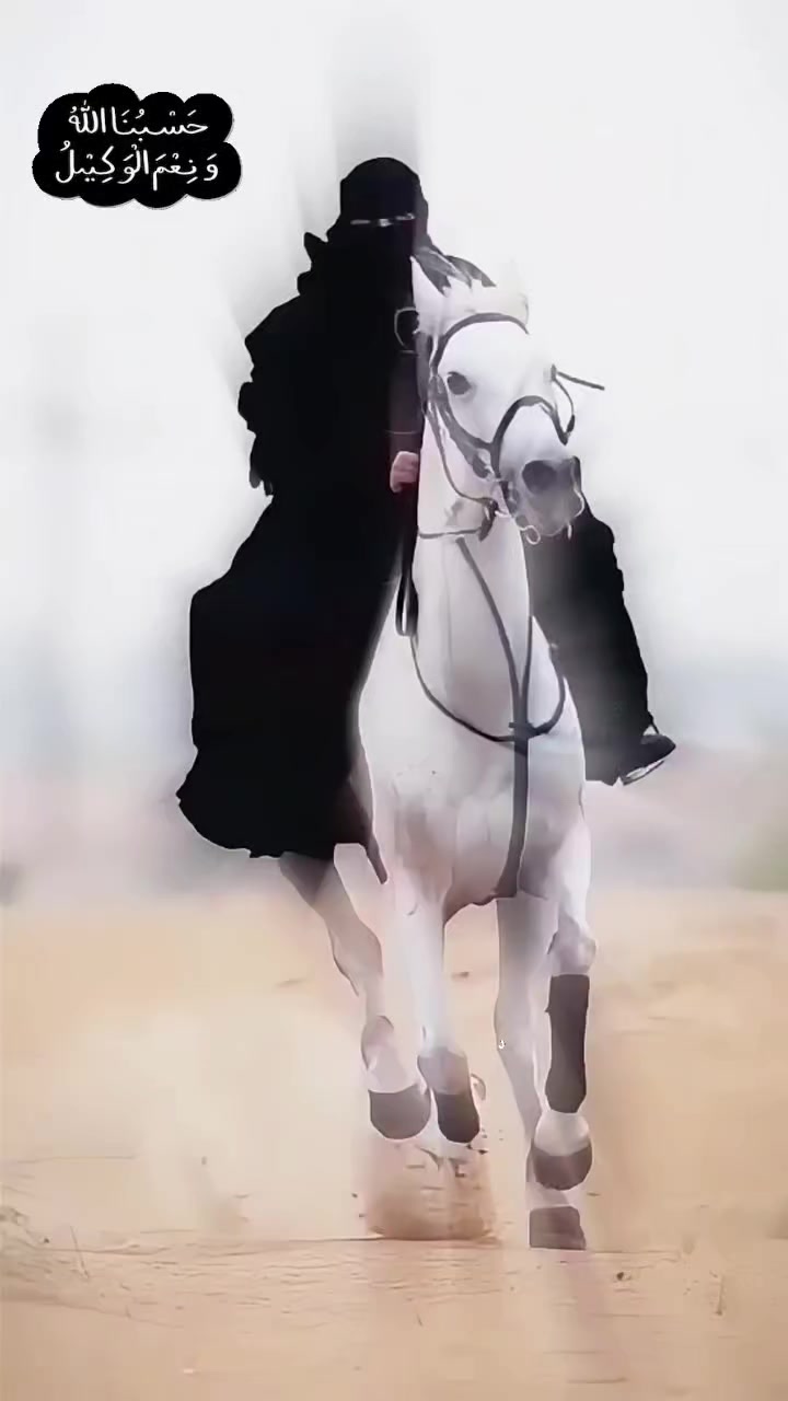 @ð¿Nð§ððð¿ð€ðð§ðð¿ðð€ð¿