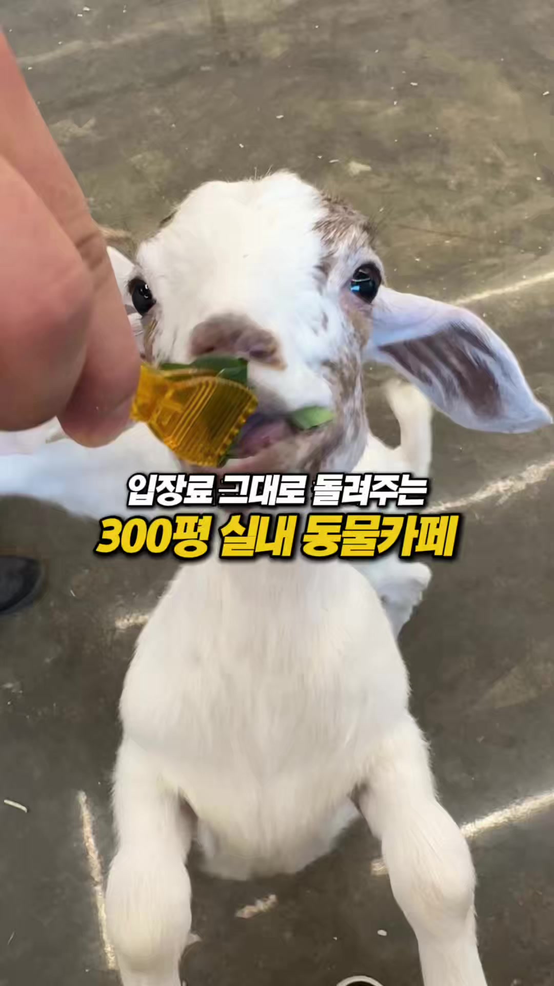 @몰빵