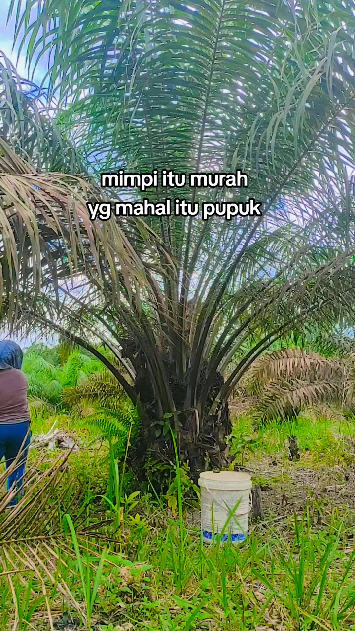 @Rinto Simarmata