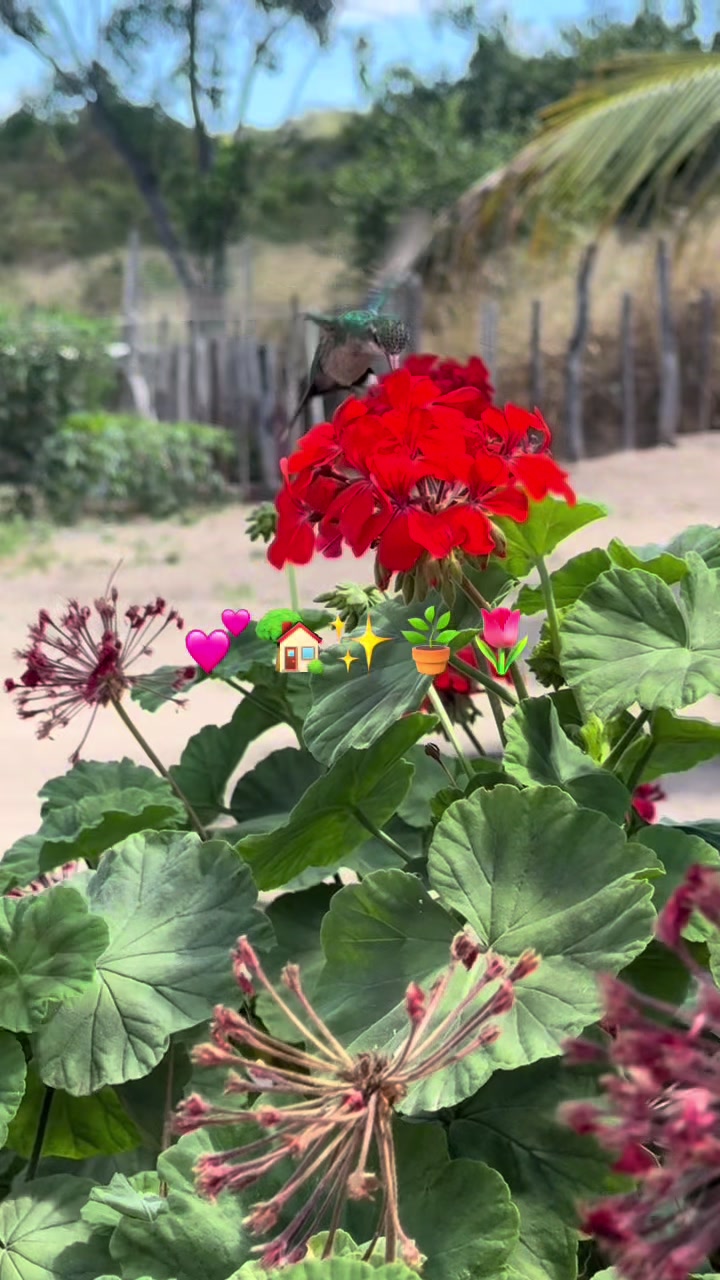 @𝑨𝒍𝒆𝒙𝒔𝒂𝒏𝒅𝒓𝒂