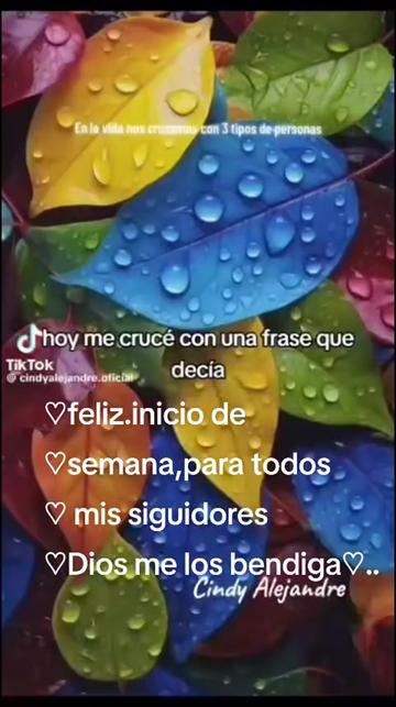 @mia jazz 👑💓🦋🧉🇦🇷