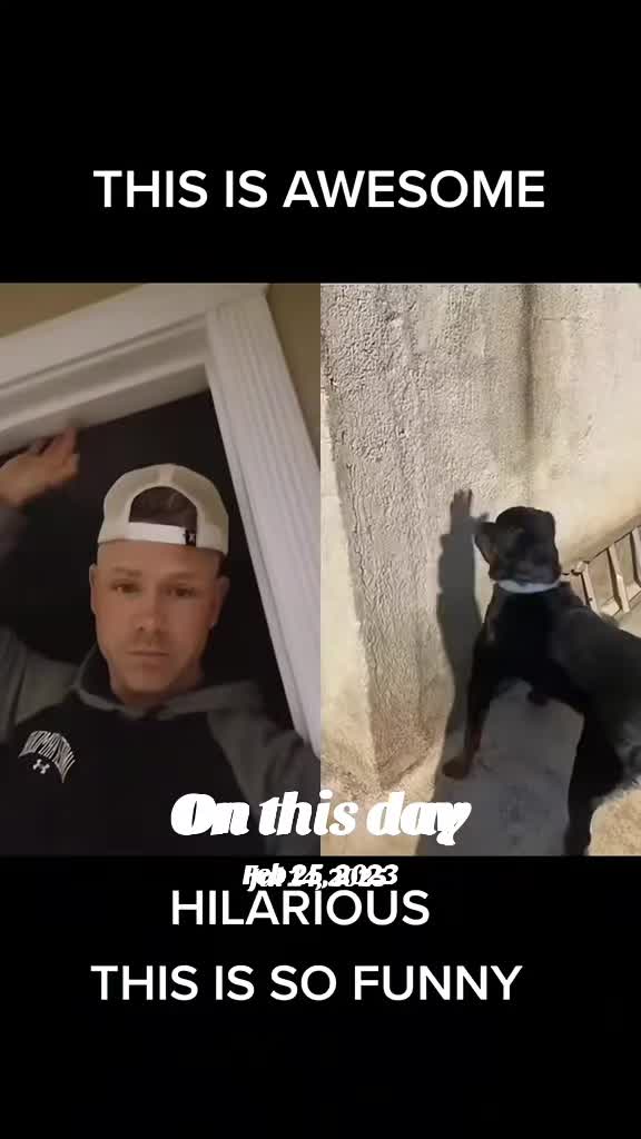 @Shredmaster3000