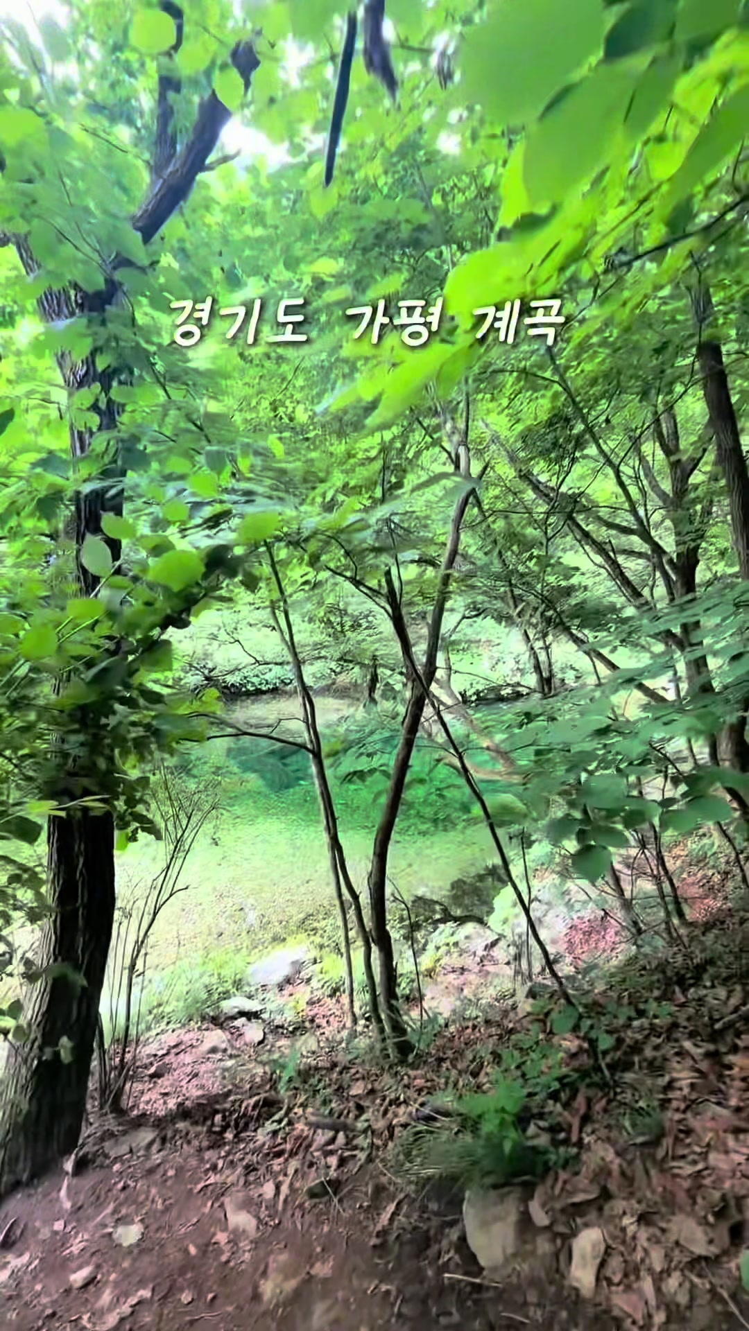 @woni여지도