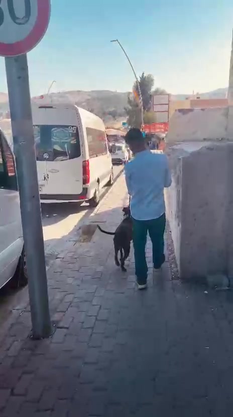 @🦁DİNO🦁