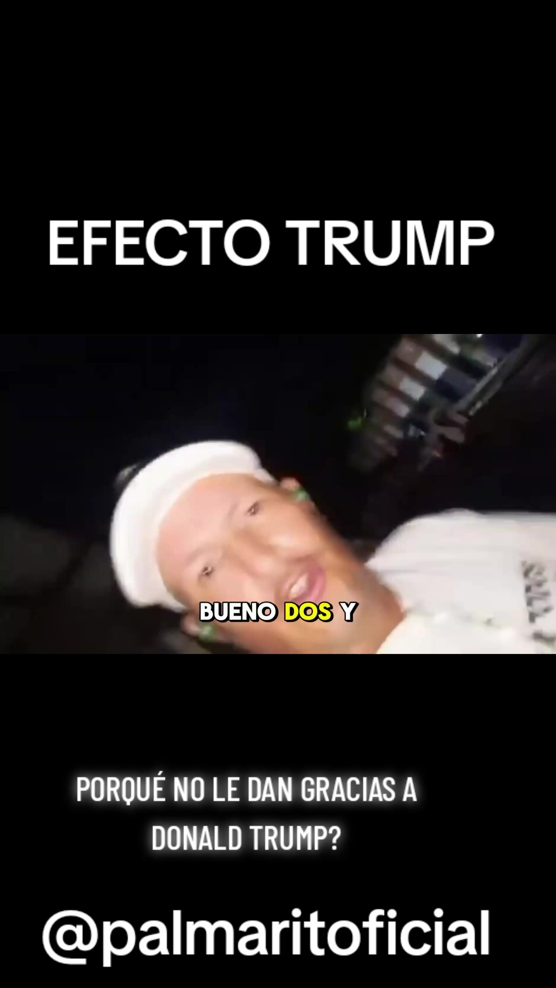 @PALMARITOOFICIAL 🌵