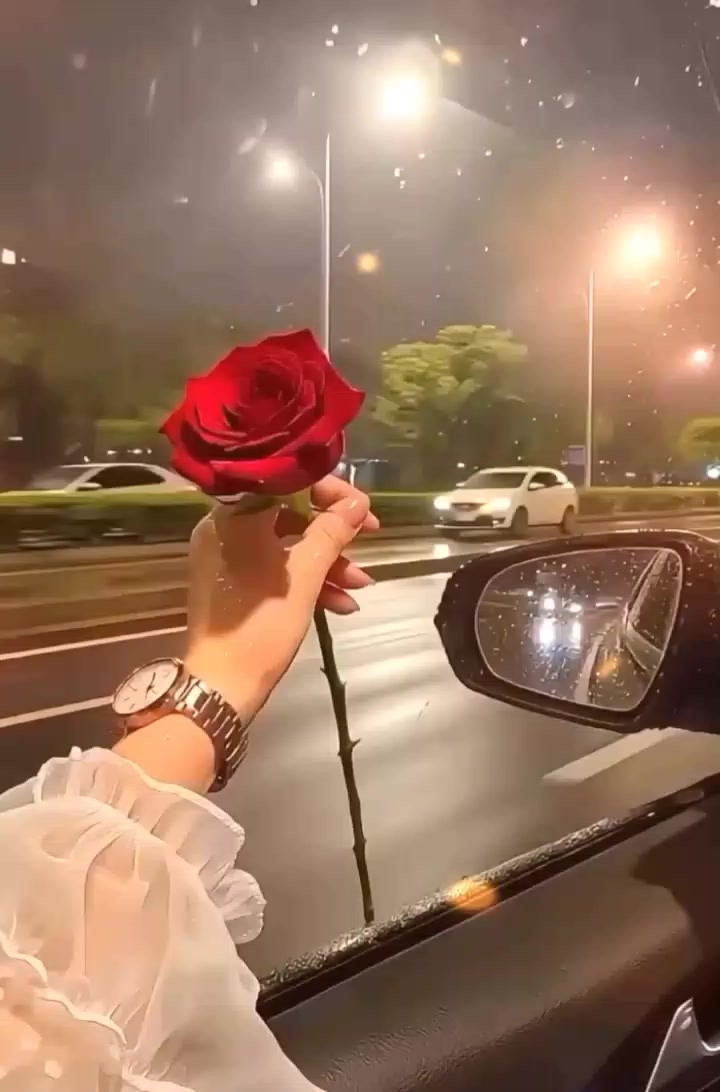 @🧬انت الحیات 🦋