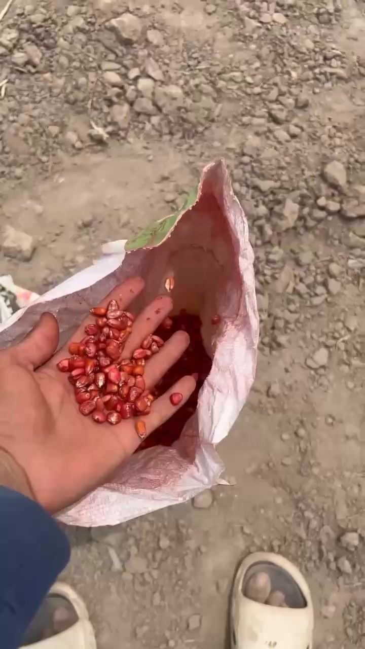 @Ahmad 392
