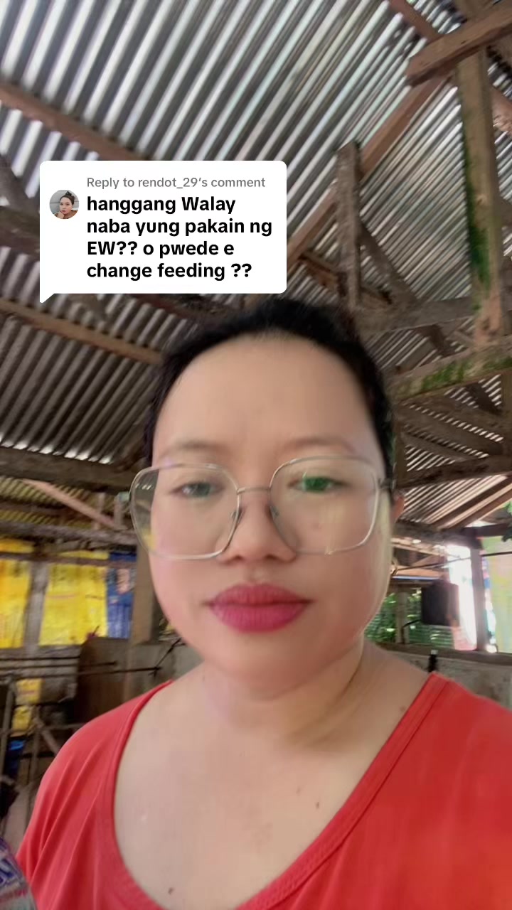@Marj Pig Farm Vlogs