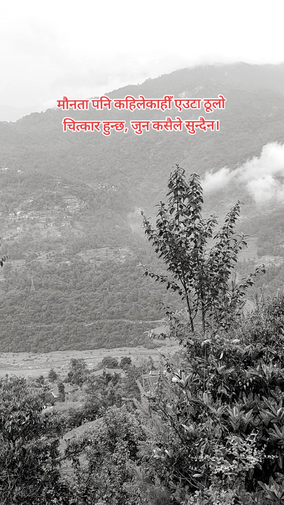@Umesh basnet