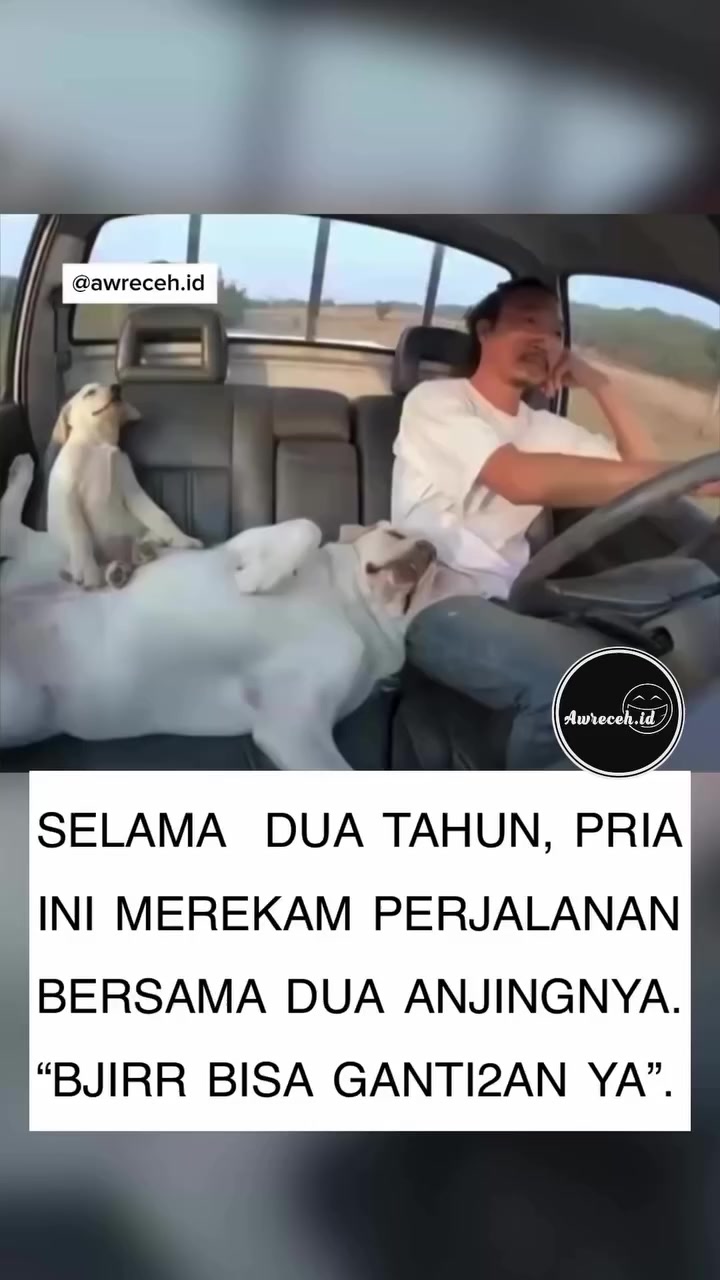 @meme core