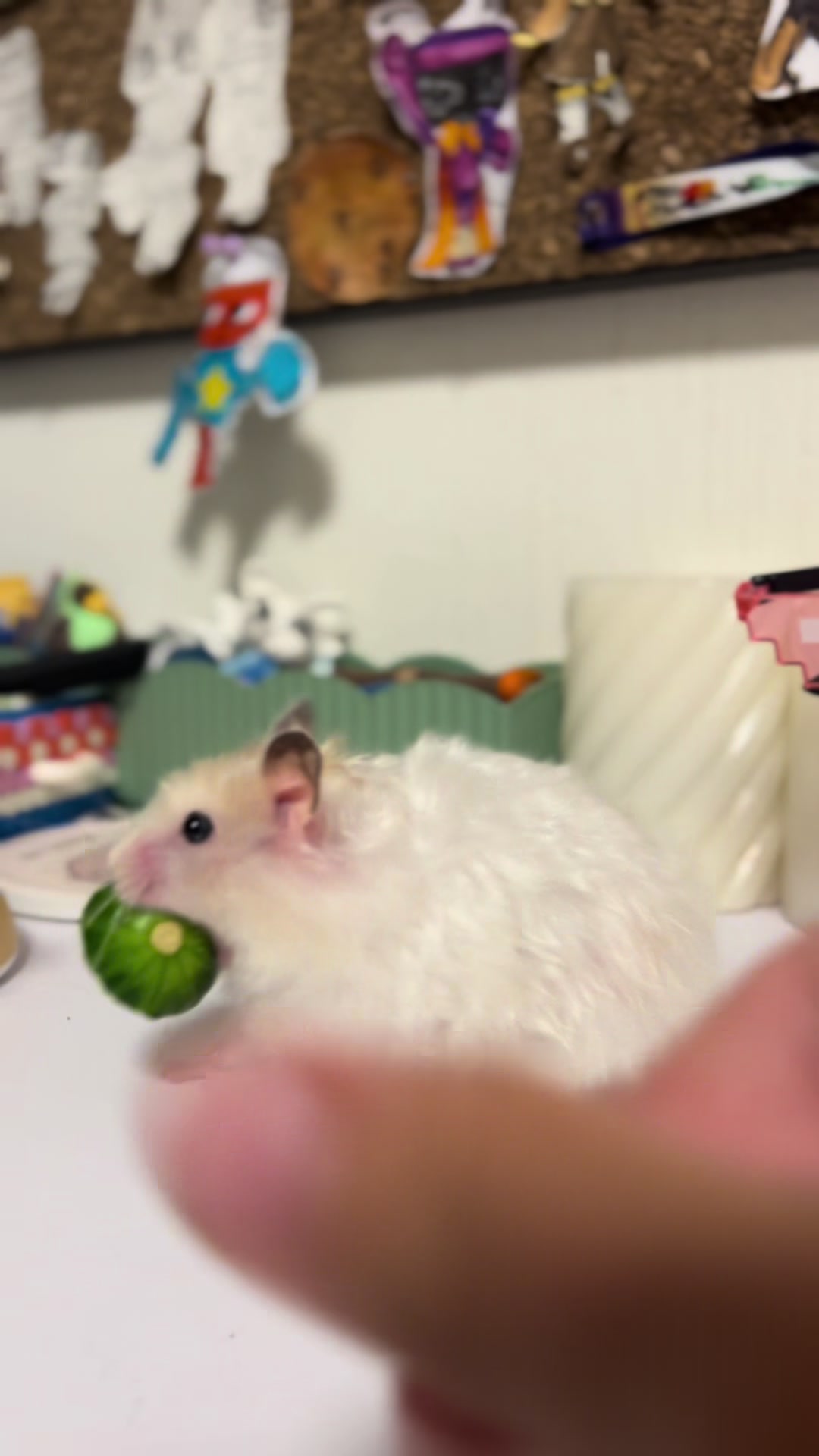 @⊹₊⋆🍮 𝑀𝒾𝓈𝓉𝓎🍡 ೃ࿔