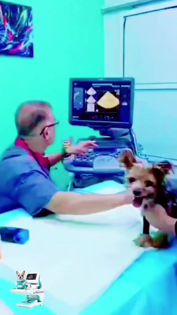 @VillagevVet LLC