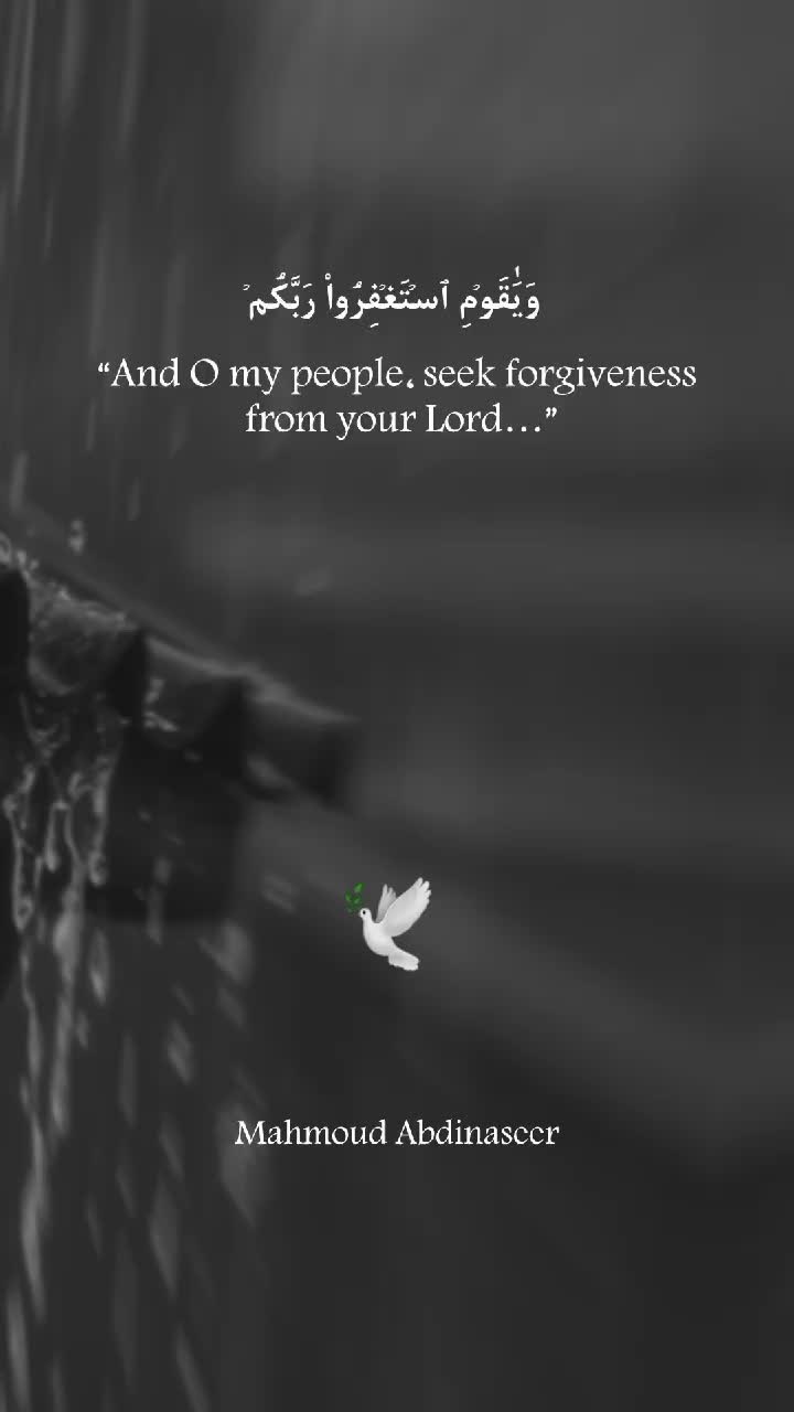 @Mahmoud Abdinaseer 🕊