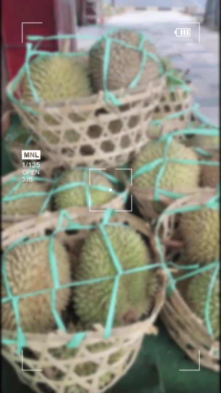 @Kenzhi Durian Tuban