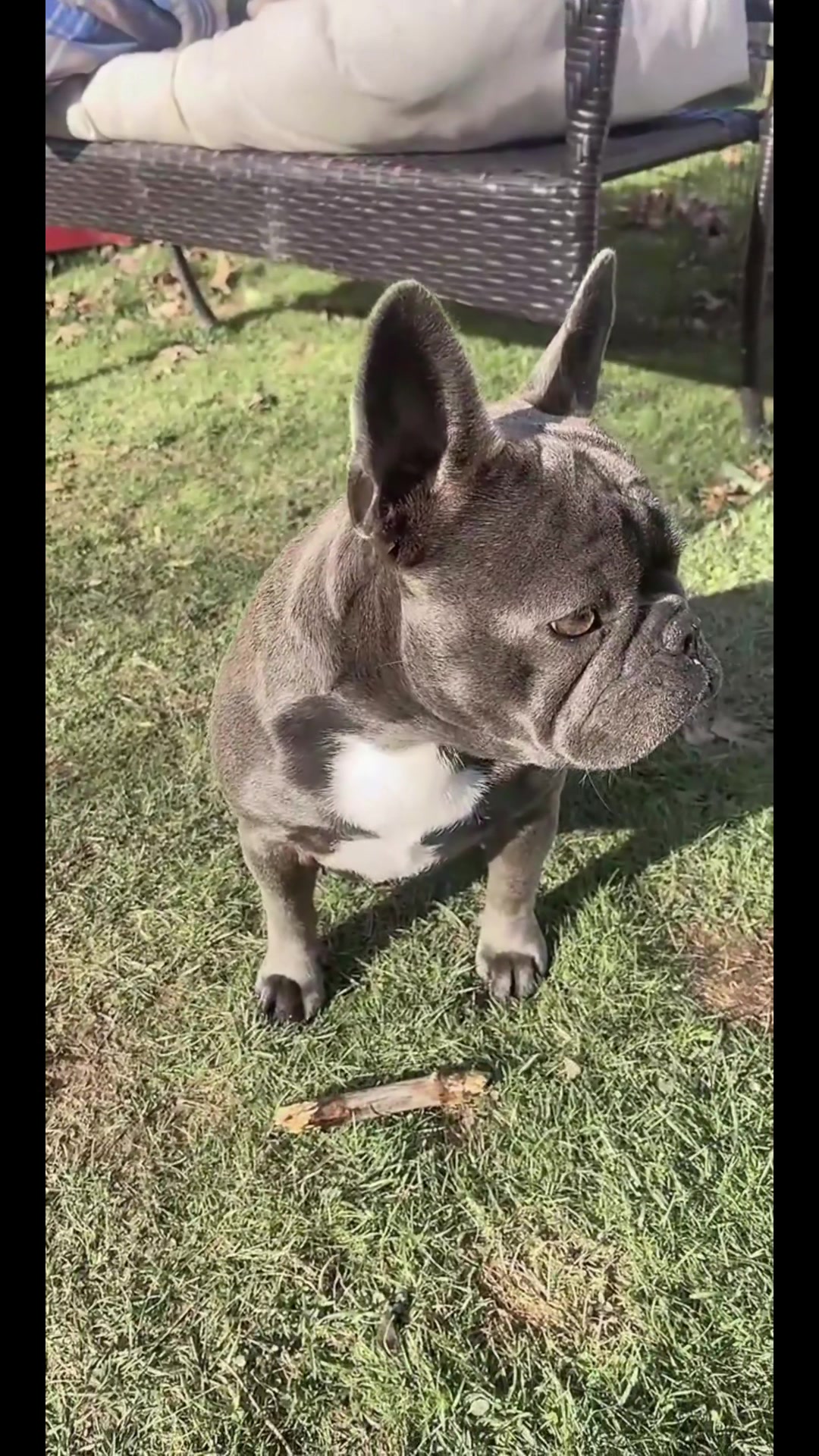 @🧿Quietlife🧿 🇨🇦 安静的生活