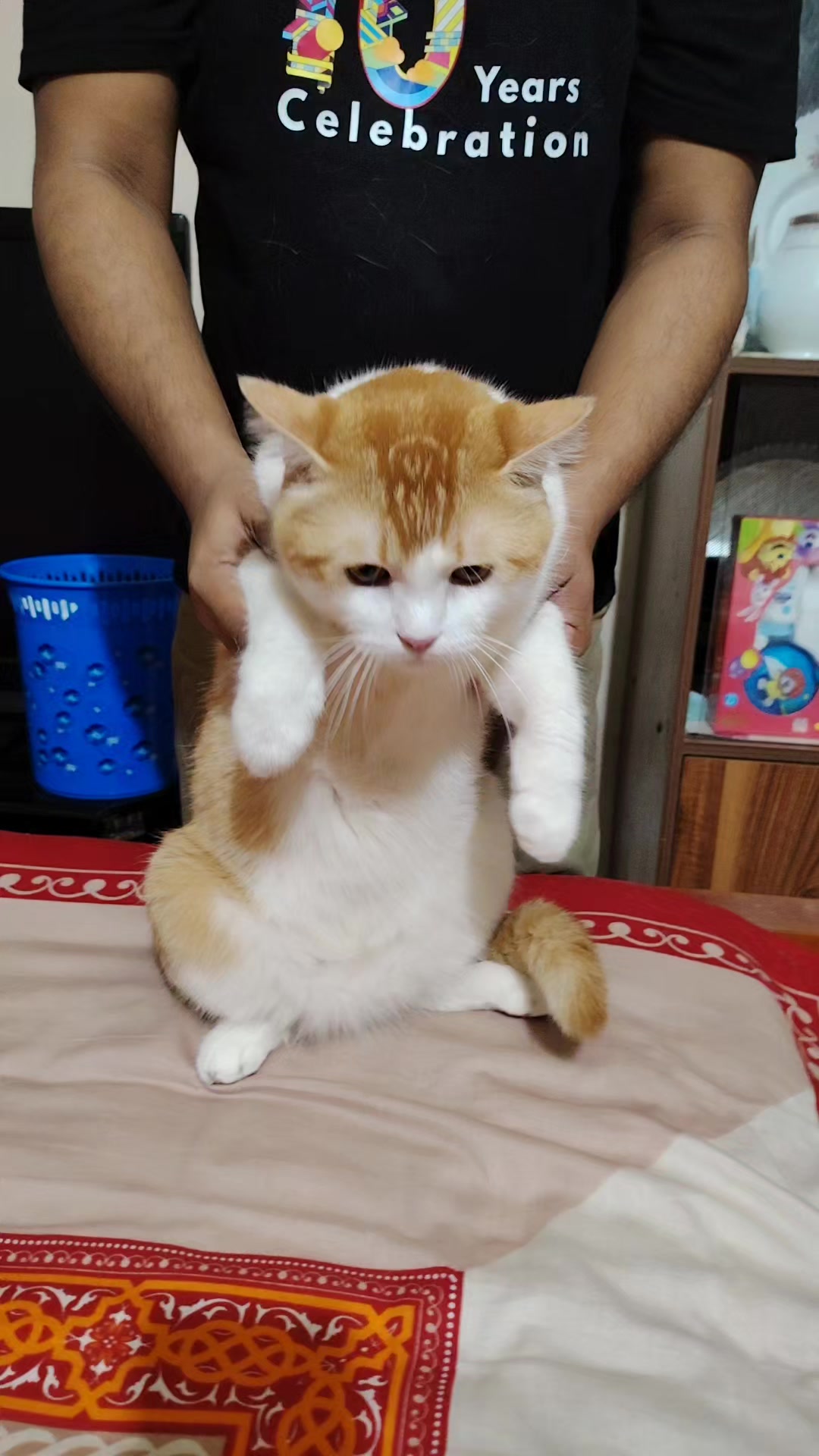 @Mitthi the Meow Meow