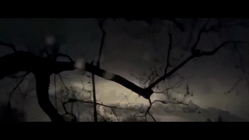 @Horror movies inventory
