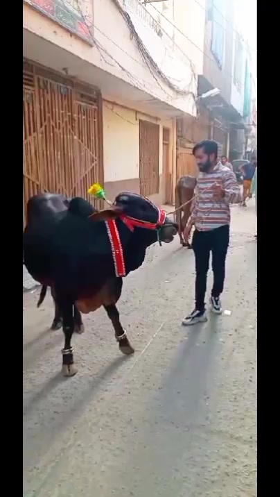 @MaNi ✌️🚩