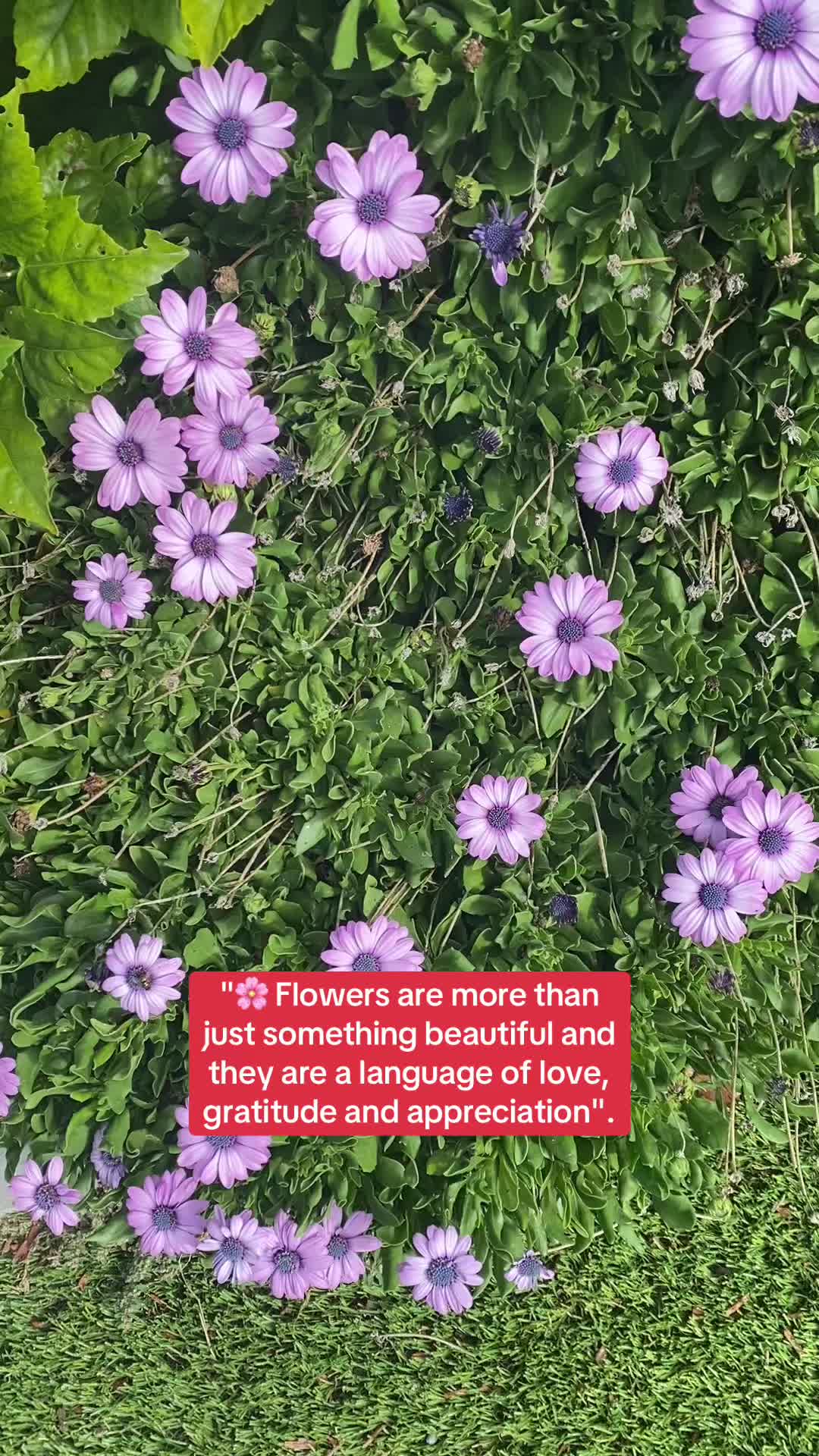 @Audrey Augustus Fernandez