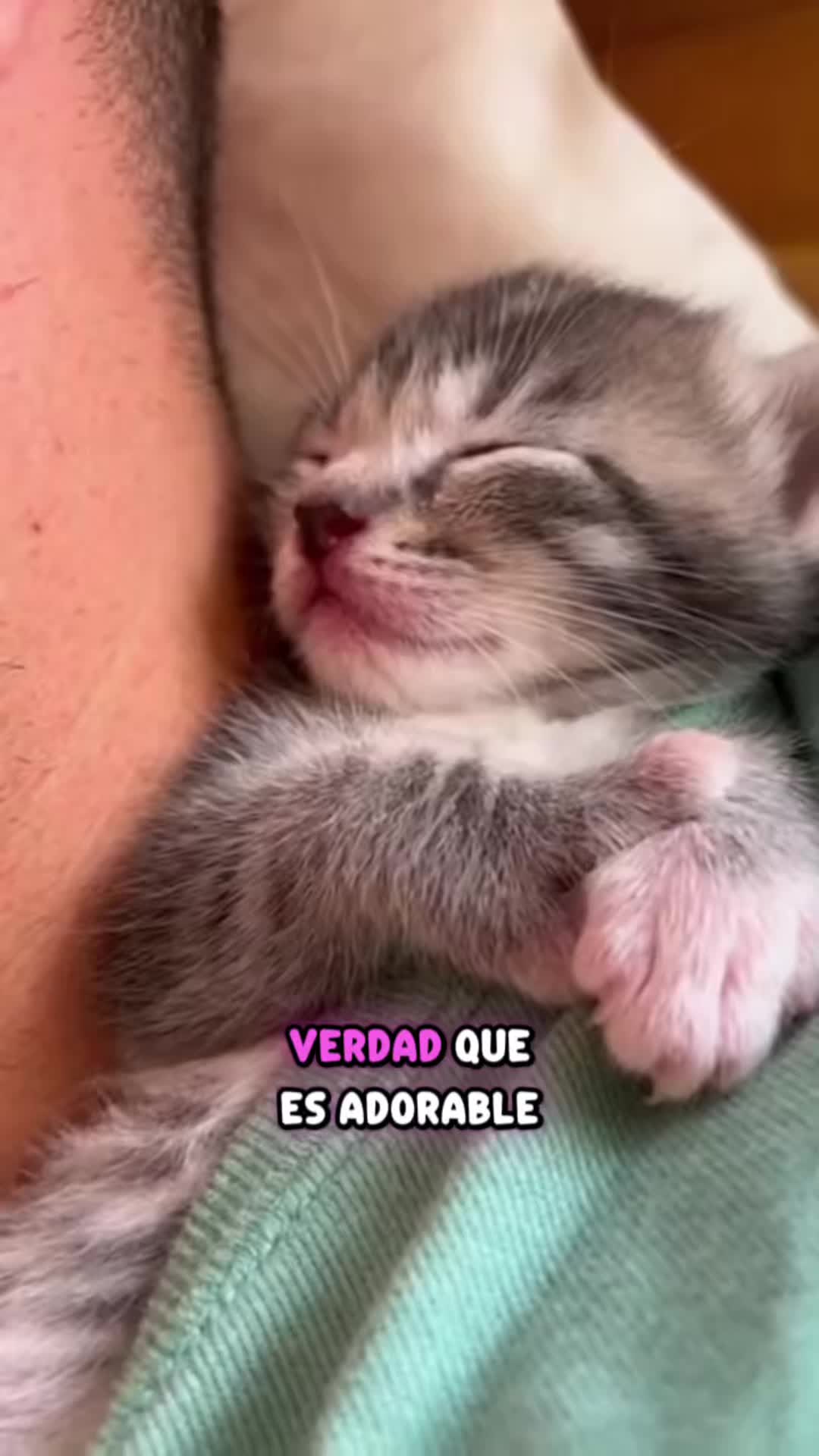 @KikeJav Stories