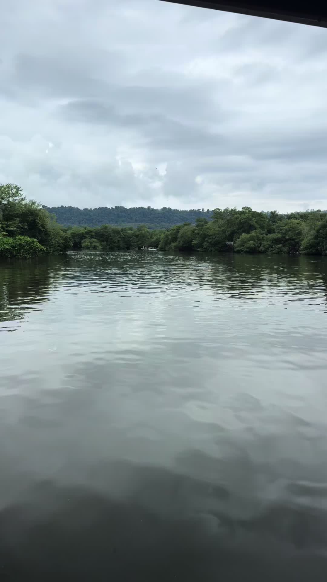 @Ari Cerdas Cordero