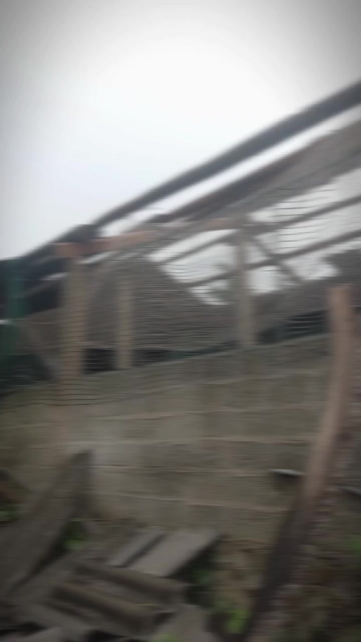 @Đ&ocirc;ng y VŨ VĂN D&Acirc;N