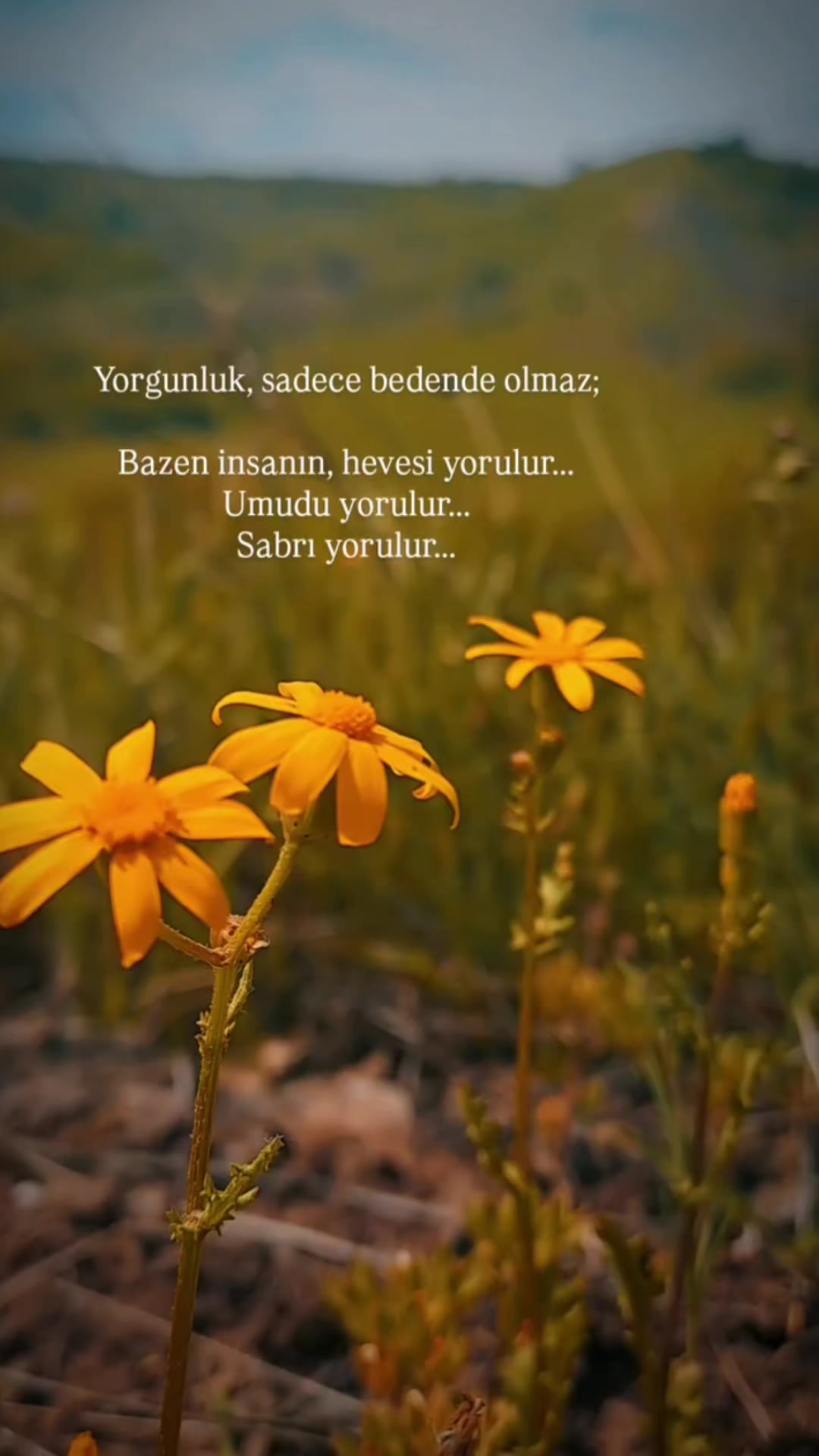 @Bir kelebek 🦋 misali ömrüm