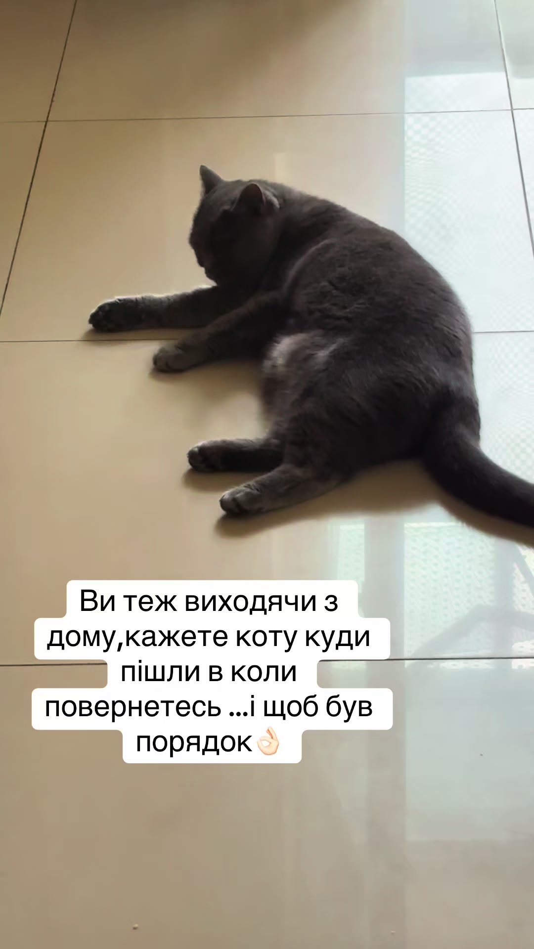 @Анна Бобчик