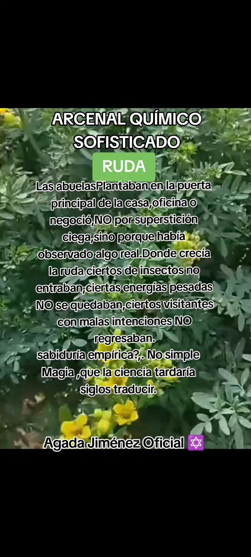@Agada Jiménez Oficial ✡️