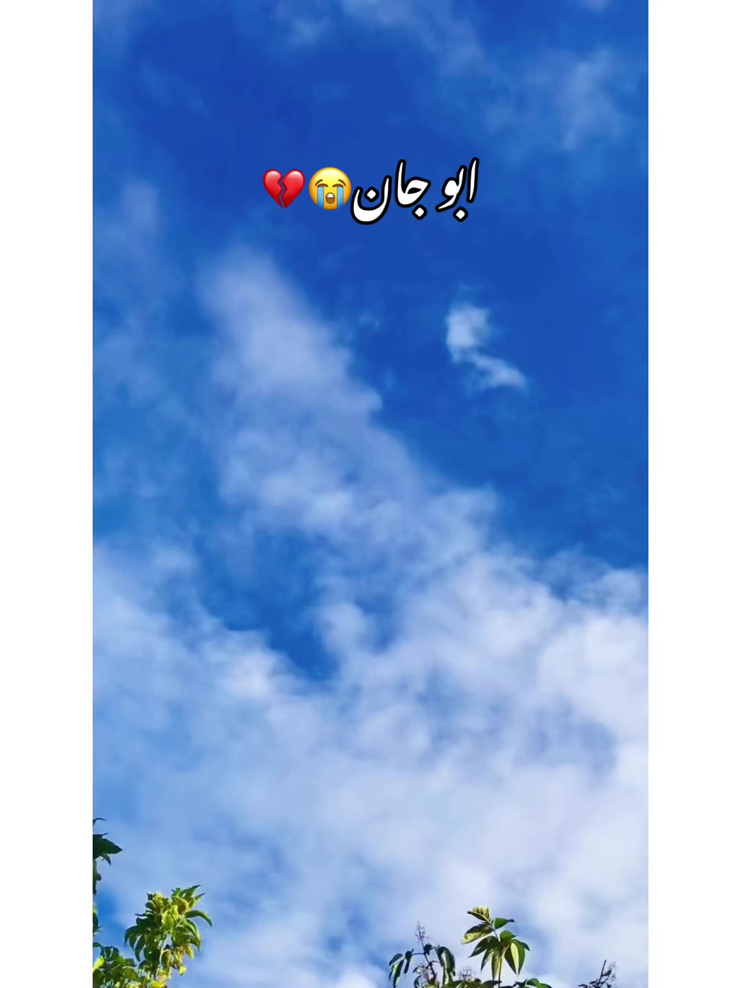 @⚜️𝐊𝐇𝐎𝐊𝐇𝐀𝐑❤️🩹