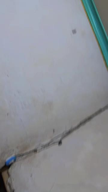 @๐ฝ๐๐๐๐ ๐๐๐๐๐๐๐๐๐