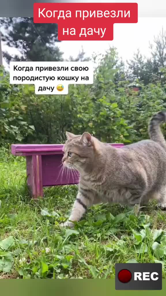 @Лариса
