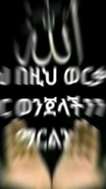 @helid