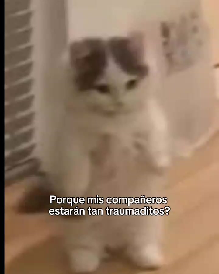 @delfi😝🖕