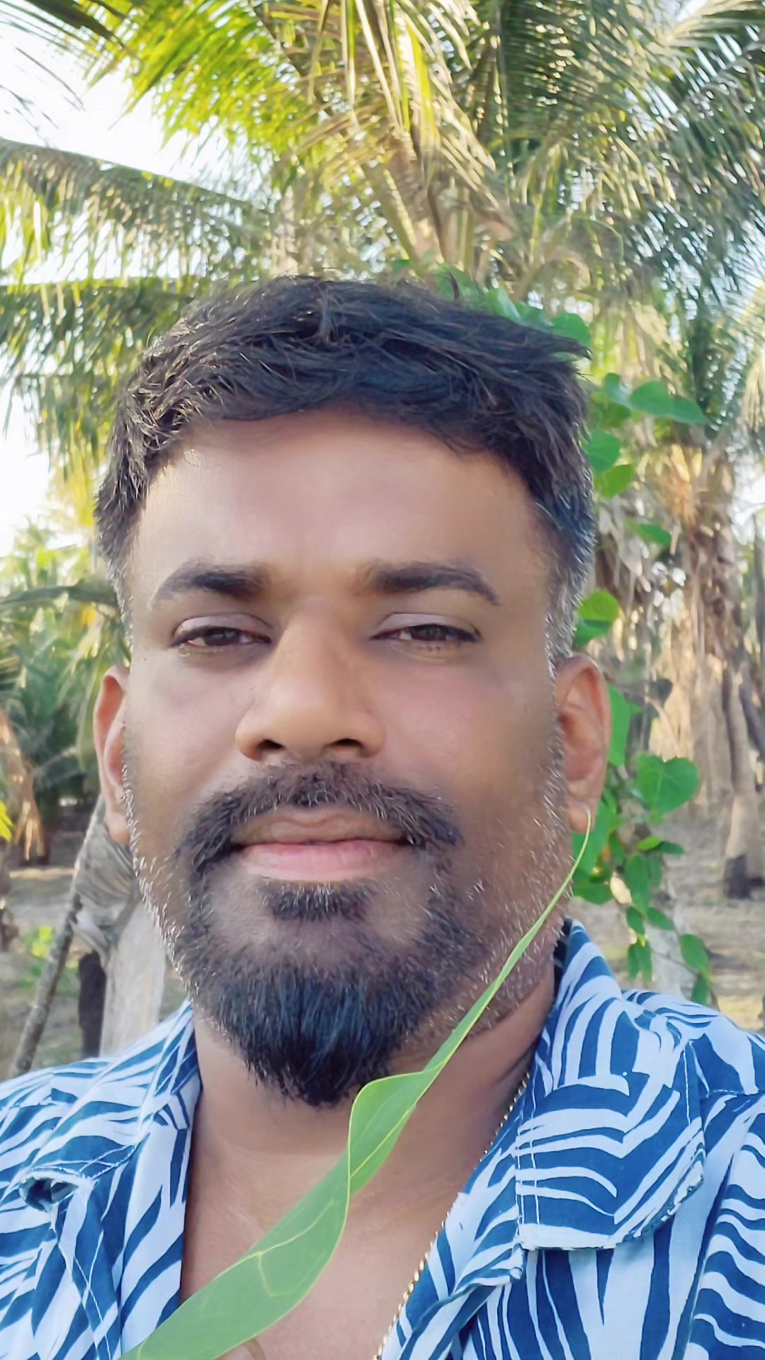 @Navasri