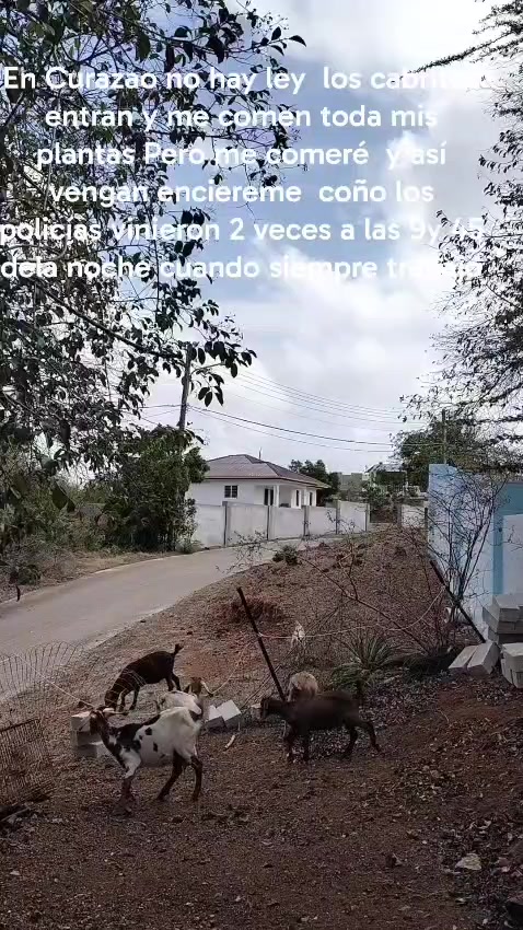 @Solimar Ordoñez