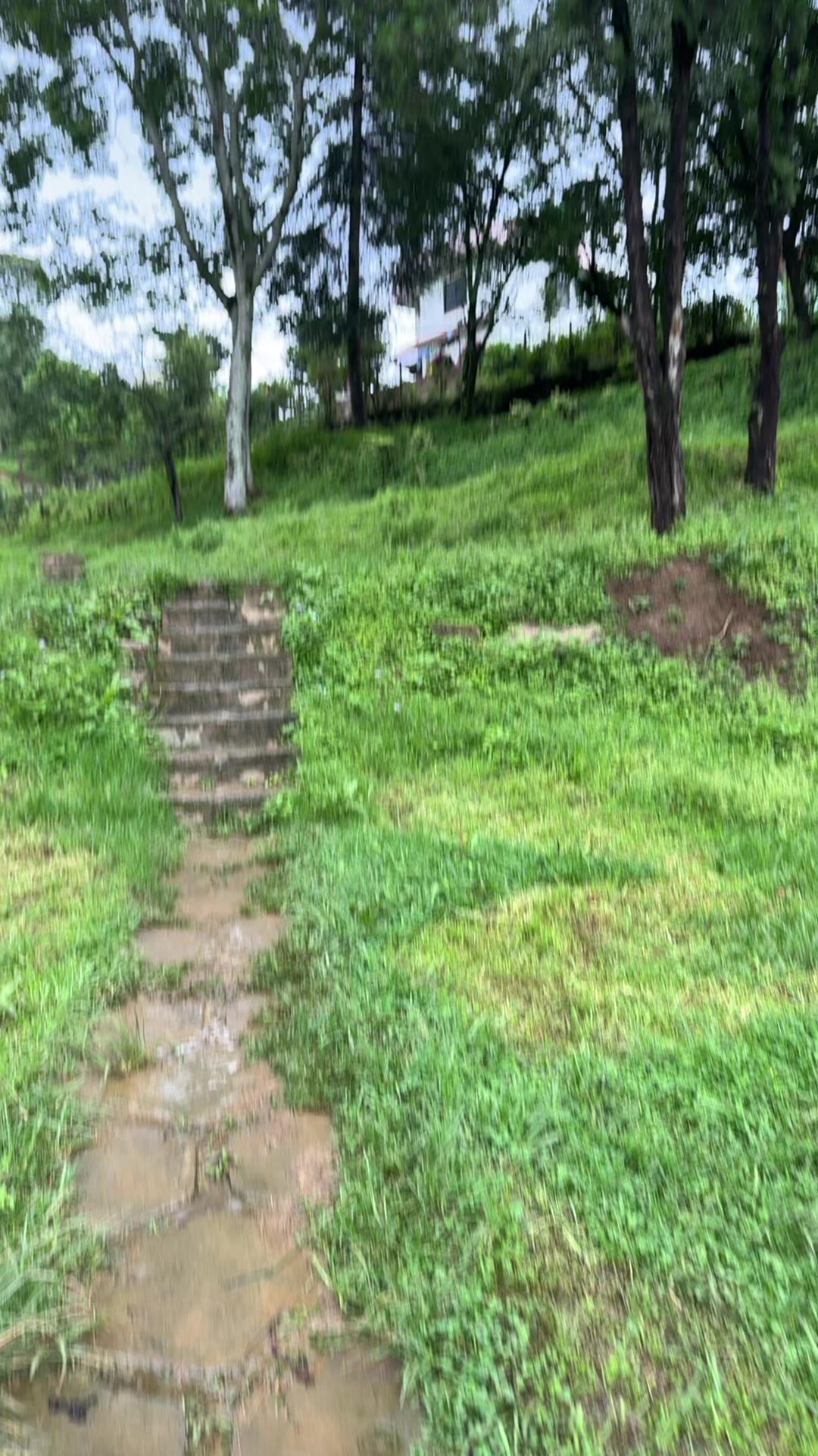 @Lotusལྷ་མོ།