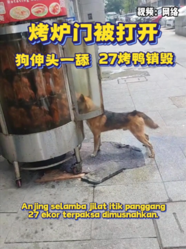 @中国报