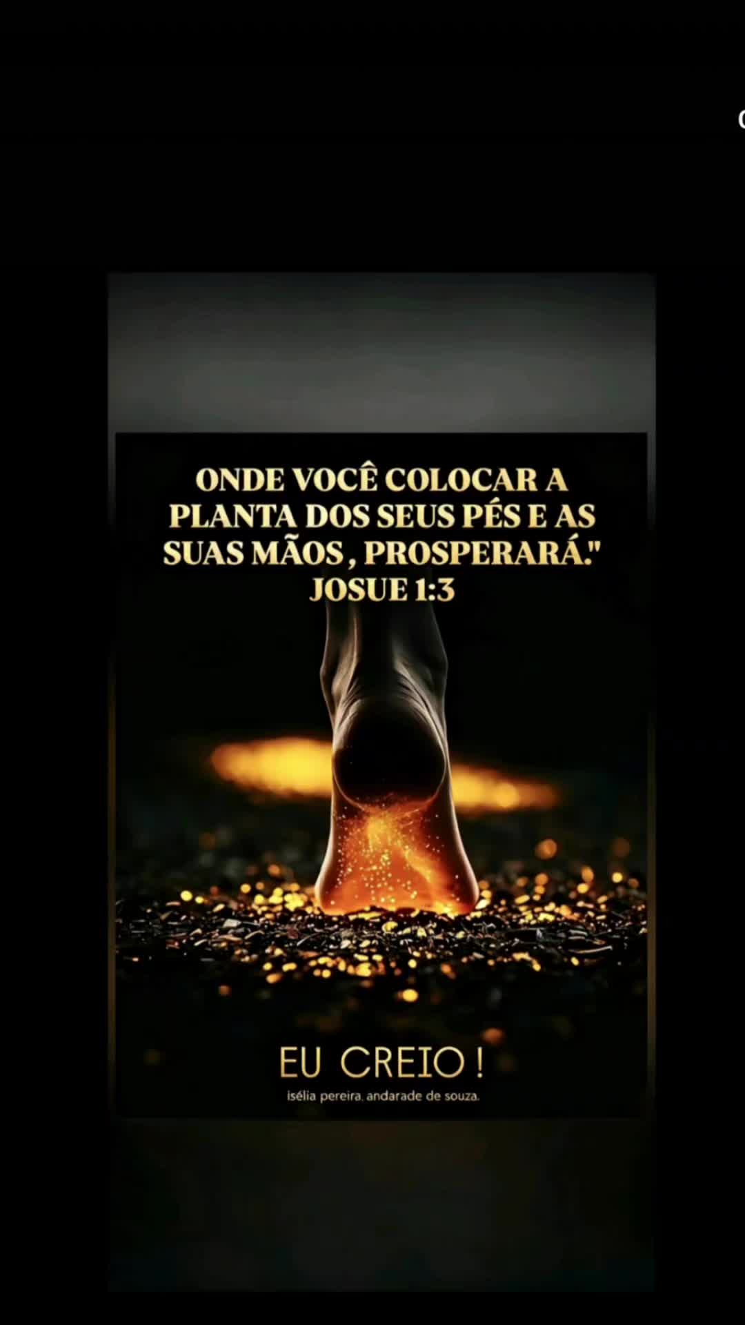 @Gaivota