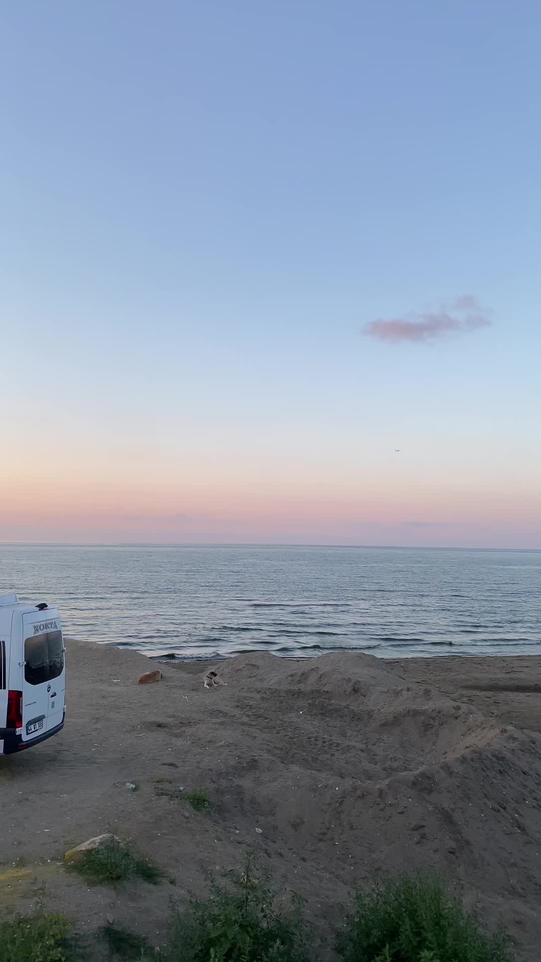 @ᗩ